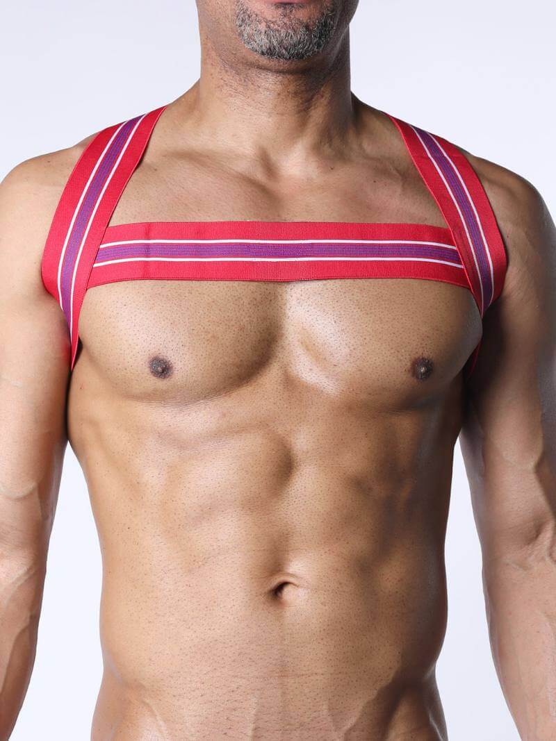 CellBlock13 Tight End Elasticated Striped Chest Harness